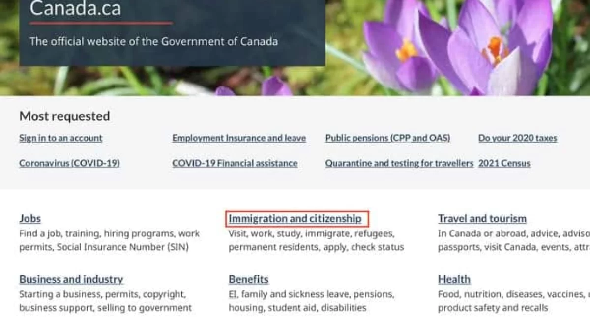 cách kiểm tra đậu visa canada 2