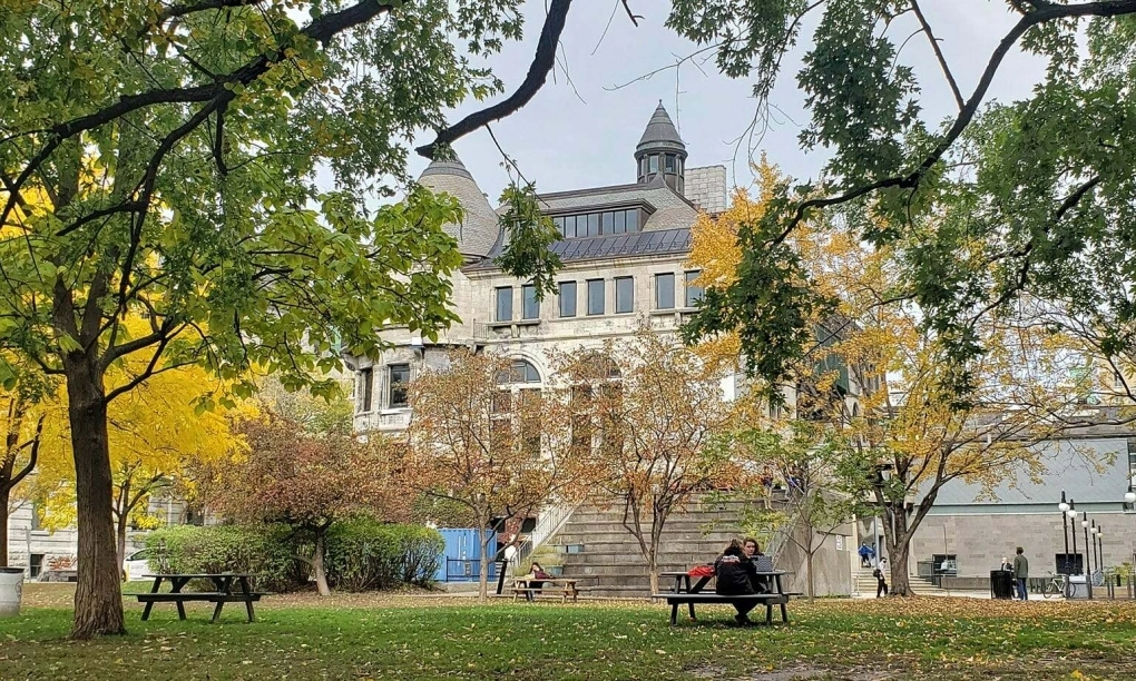 Canada siết nhập cư du học sinh 2026 tại khuôn viên Đại học McGill