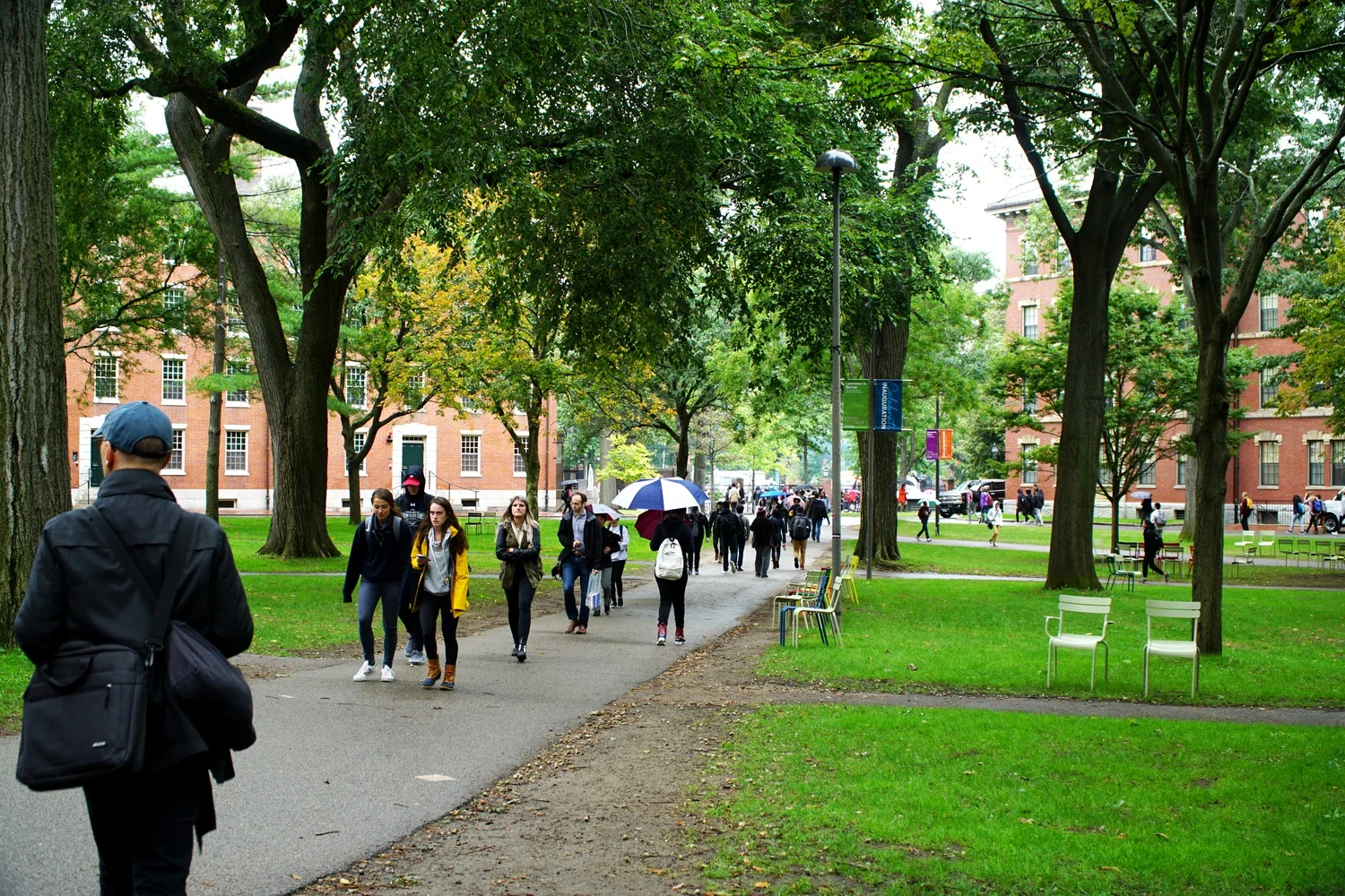 sinh viên Harvard hụt hẫng vì vùng xám trợ cấp tài chính năm 2025