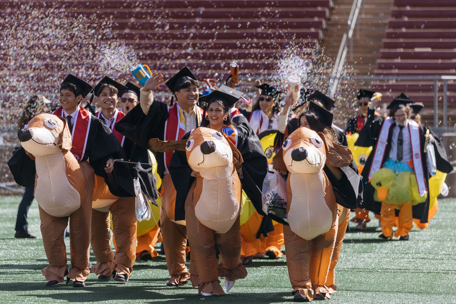 Sinh viên Stanford hóa trang trong màn diễu hành Wacky Walk ngày tốt nghiệp